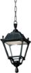 Picture of Elia Sichem 11W E27 LED 3000K Assembled, Classic Chain Lantern, Black/Clear
