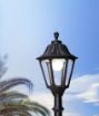 Picture of Noemi Lantern Head Only