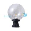 Picture of Globe 250 Disma