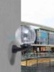 Picture of Globe 250 Nardo